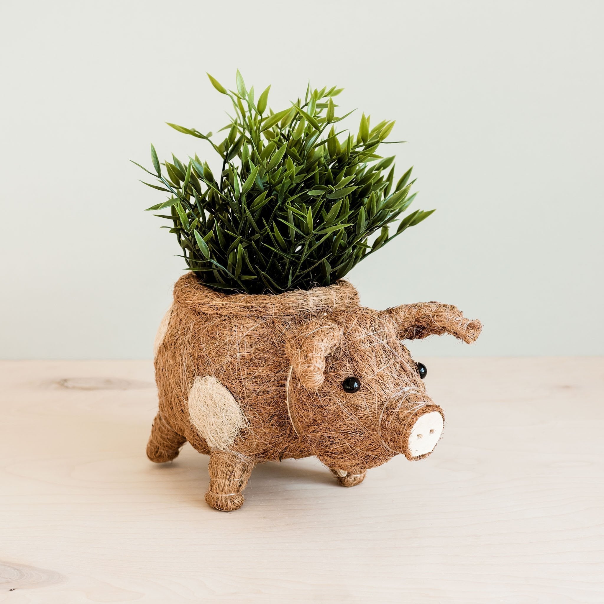 Pig Planter - Coco Coir Pots | LIKHÂ by LIKHÂ