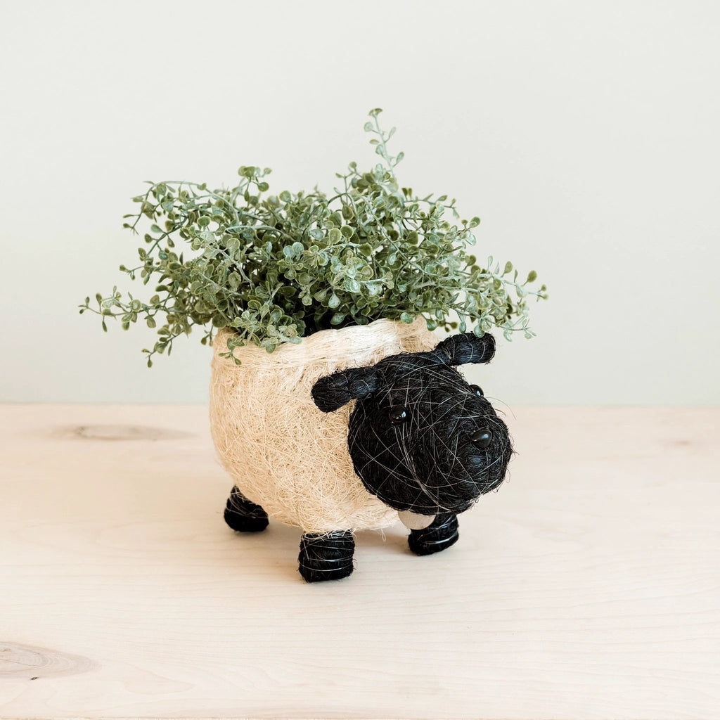 Sheep Planter - Coco Coir Pots | LIKHÂ by LIKHÂ