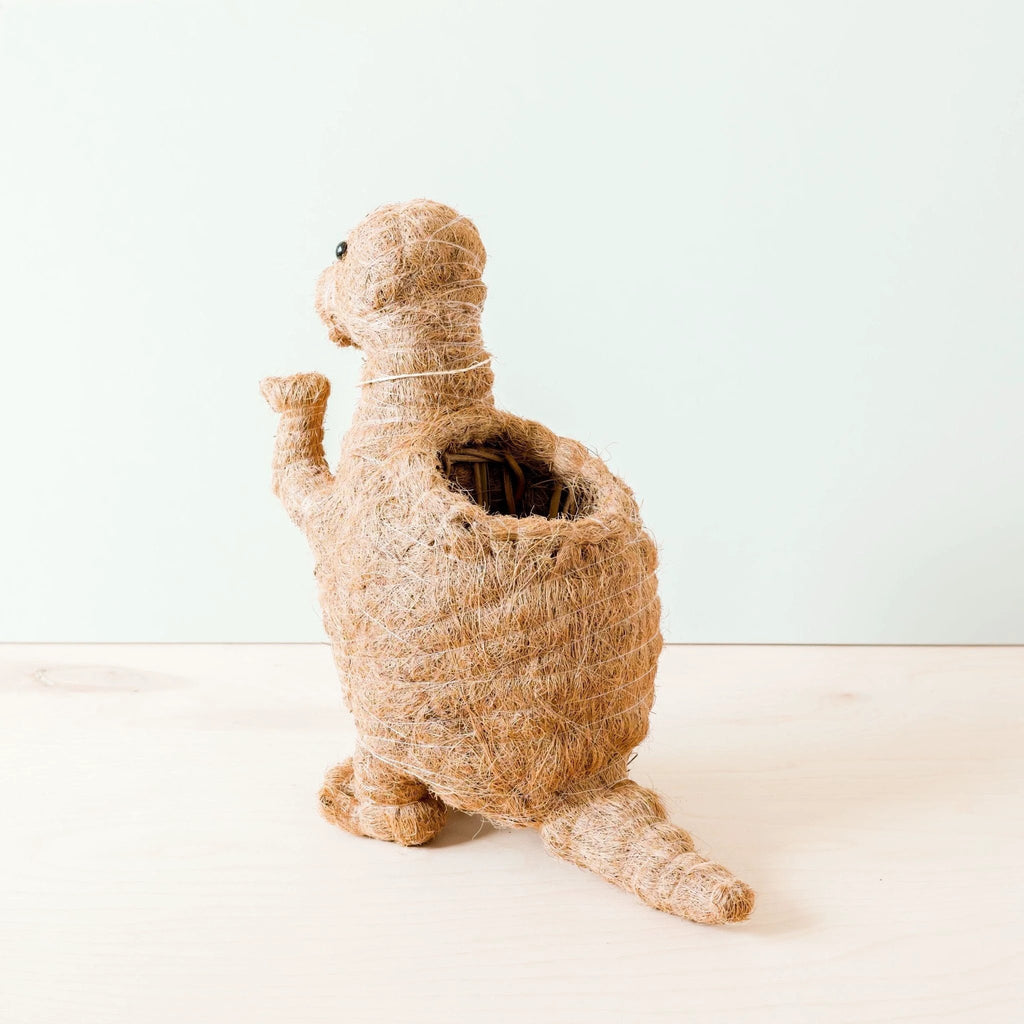 T-Rex Planter - Coco Coir Pots | LIKHÂ by LIKHÂ