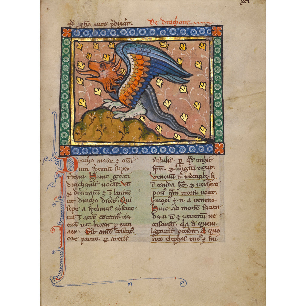 Plush Dragon Inspired by Illuminated Manuscript Bestiary ACTIVITIES GAMES La Vie Bien Plush Dragon Inspired by Illuminated Manuscript Bestiary