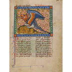Plush Dragon Inspired by Illuminated Manuscript Bestiary ACTIVITIES GAMES La Vie Bien Plush Dragon Inspired by Illuminated Manuscript Bestiary