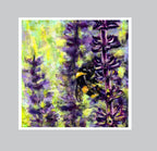 Pollinator’s Peace - Fine Art Print - Multiple Sizes by Tiffany Bates Art