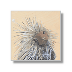 Porcupine Sticker by FLYNhats