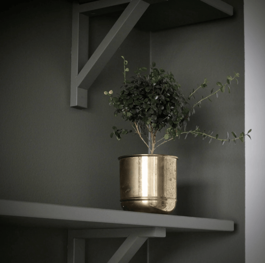 Primrose Pot Planter La Vie Bien Primrose Pot