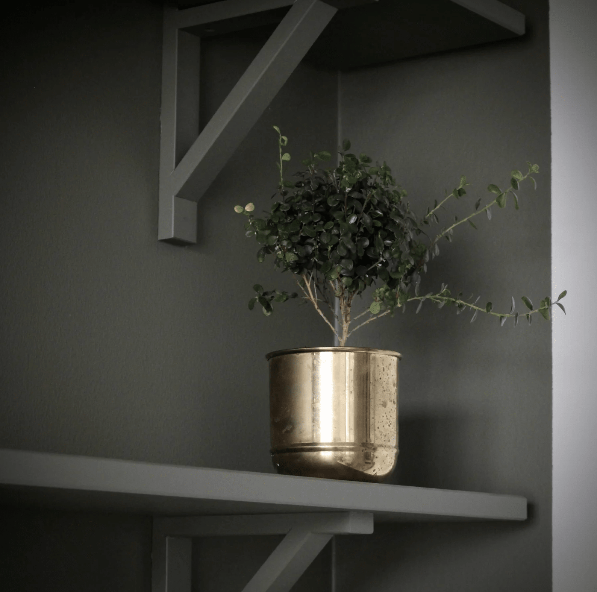 Primrose Pot Planter La Vie Bien Primrose Pot