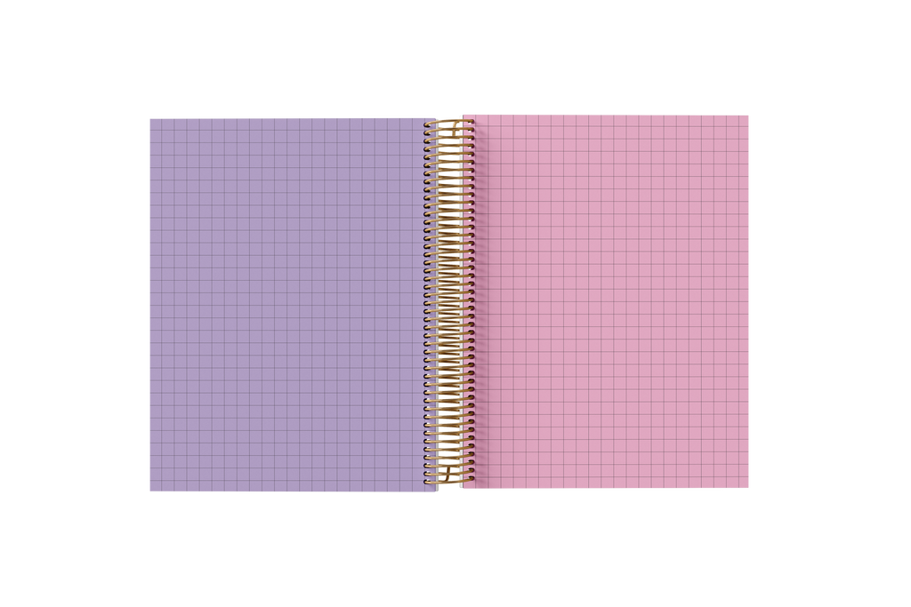 GRAPH Paper Holographic Notebook by BERTEAU & Co.