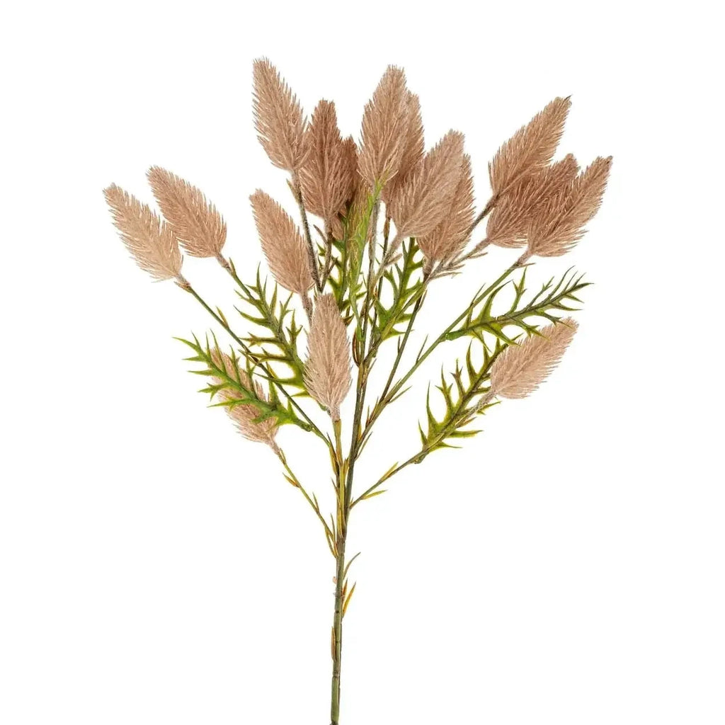 Pussytail Grass Spray by The Lifestyle Lab