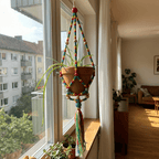 Rainbow Macrame Plant Holder | Bohemian Decorative Hanging Flowerpot Holder Plant Holder La Vie Bien Rainbow Macrame Plant Holder | Bohemian Decorative Hanging Flowerpot Holder