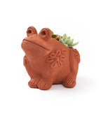 Rakshana Frog Plant Pot - Terracotta HME stock line La Vie Bien Rakshana Frog Plant Pot - Terracotta