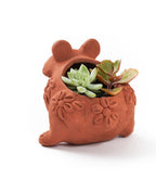 Rakshana Frog Plant Pot - Terracotta HME stock line La Vie Bien Rakshana Frog Plant Pot - Terracotta
