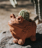 Rakshana Frog Plant Pot - Terracotta HME stock line La Vie Bien Rakshana Frog Plant Pot - Terracotta