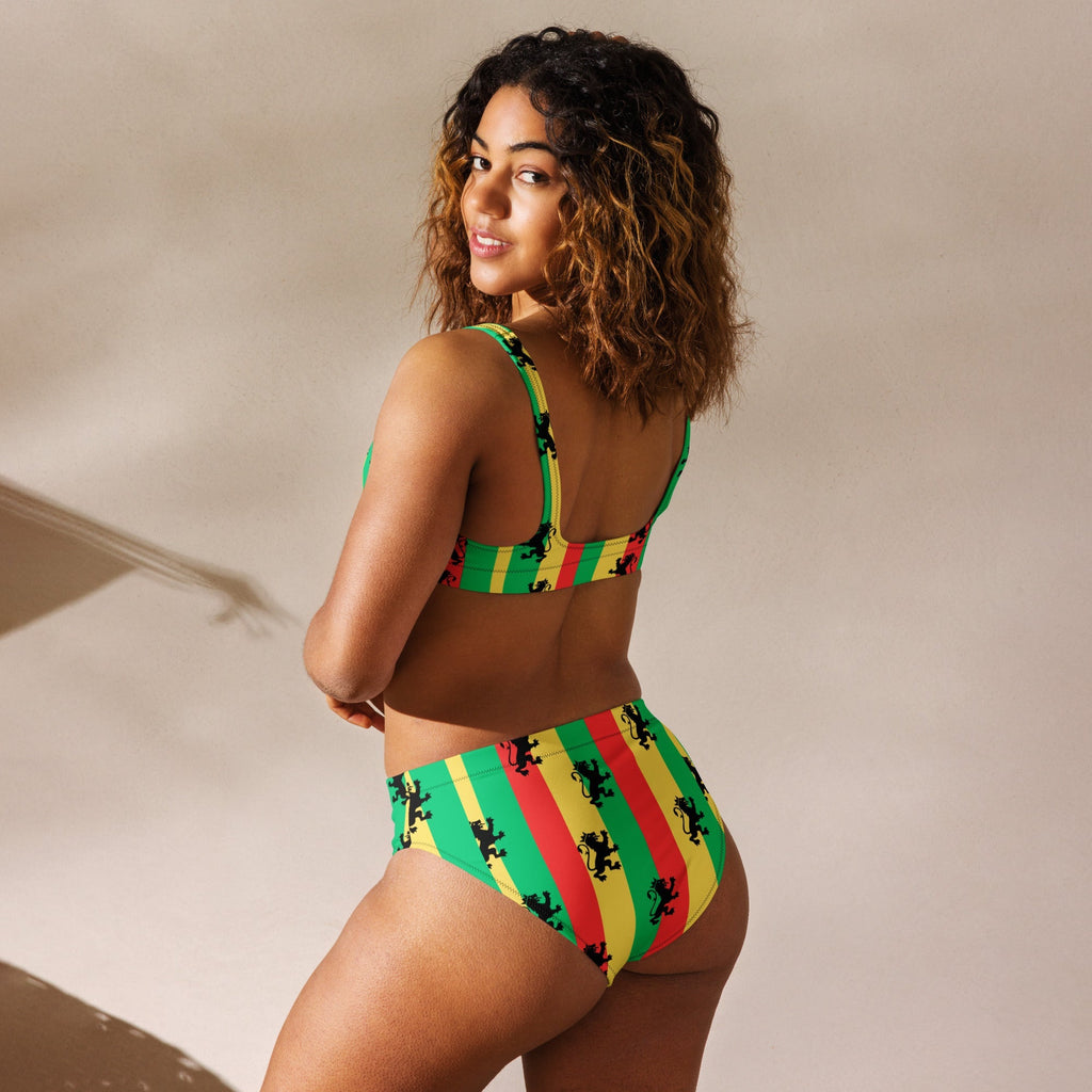 Rasta Reggae High Waisted Bikini All - Over Print Recycled High - Waisted Bikini La Vie Bien Rasta Reggae High Waisted Bikini