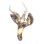 Recycled Springbok Metal Animal Wall Mask La Vie Bien Recycled Springbok Metal Animal Wall Mask