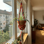 Red Macrame Plant Holder | Boho Hanging Decor Flowerpot Holder Plant Holder La Vie Bien Red Macrame Plant Holder | Boho Hanging Decor Flowerpot Holder