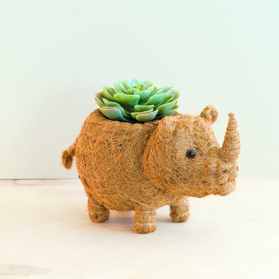 Rhino Planter - Coco Coir Pot | LIKHÂ