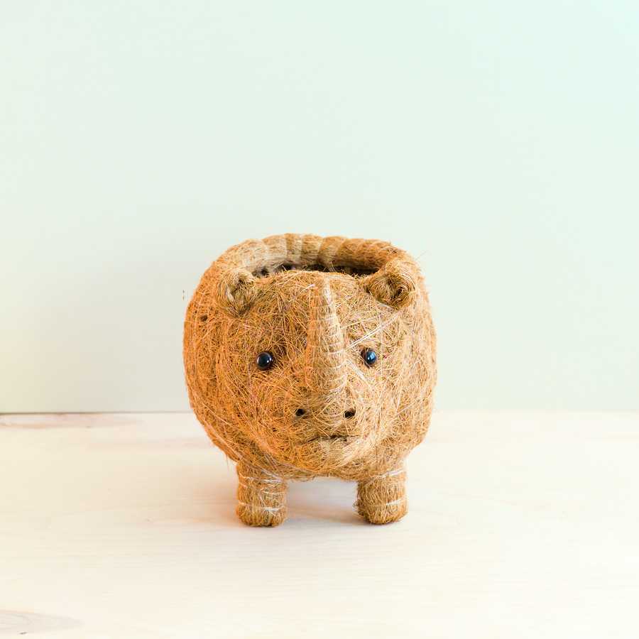 Rhino Planter - Coco Coir Pot | LIKHÂ