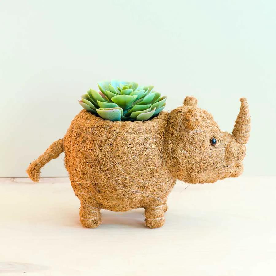 Rhino Planter - Coco Coir Pot | LIKHÂ by LIKHÂ