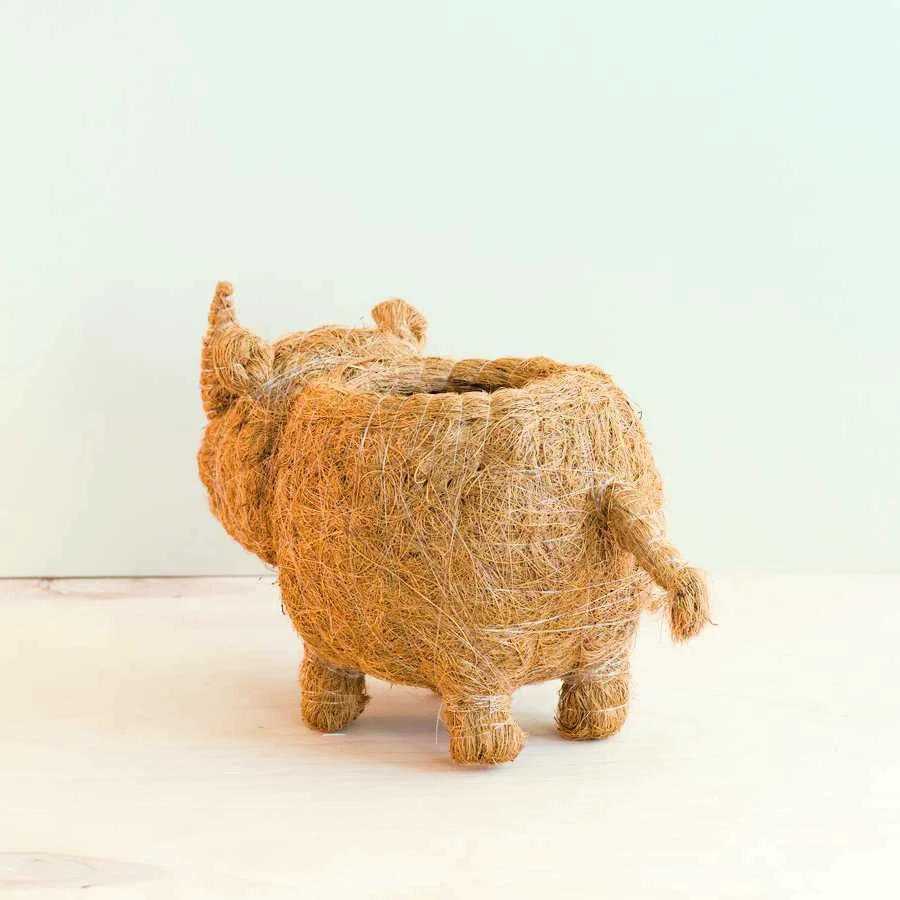 Rhino Planter - Coco Coir Pot | LIKHÂ by LIKHÂ