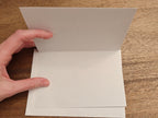 Du hast Geburtstag funny dry humor German birthday Greeting card, blank inside with envelope