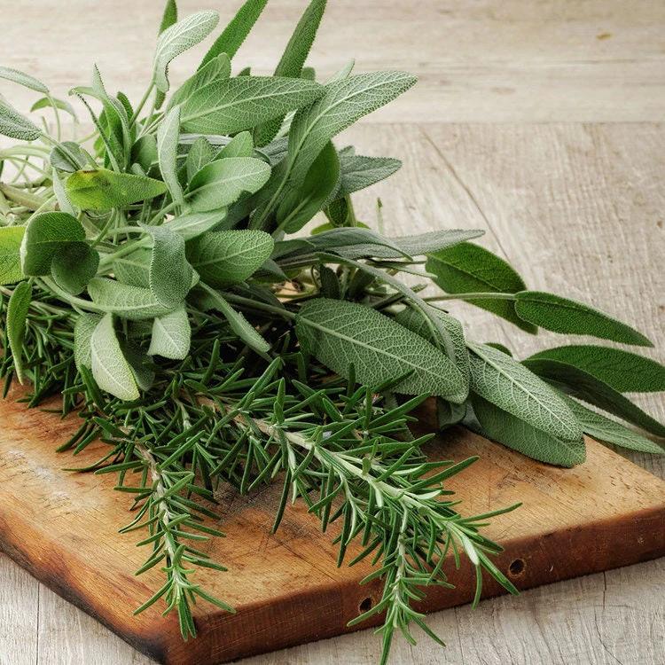 Rosemary + Sage - REED DIFFUSER, Herbal Aromatherapy Home Fragrance - by Moon Water Apothecary!