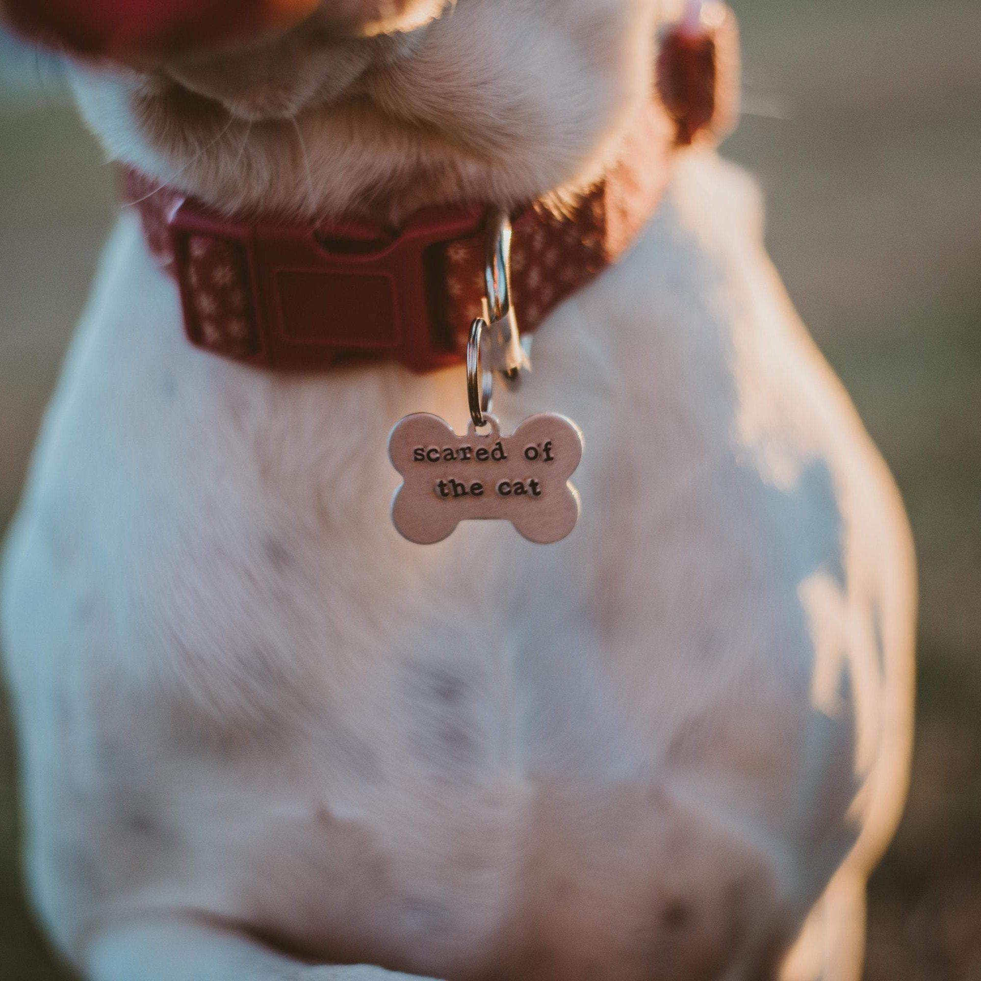 SCARED OF THE CAT Bone - Shaped Pet Tag Pet Tags La Vie Bien SCARED OF THE CAT Bone - Shaped Pet Tag