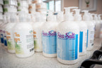 SEA SALT HAND & BODY LOTION 16 oz or 2 oz by Essential Journeys