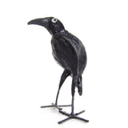 Seedpod Raven La Vie Bien Seedpod Raven
