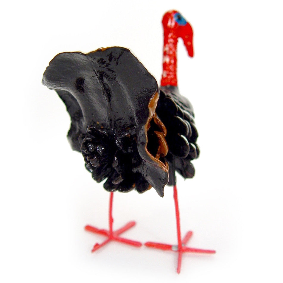 Seedpod Turkey