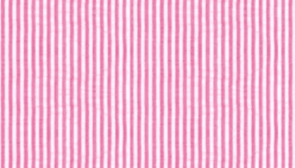 Seersucker Dinner Napkins, set of 4