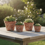 Set of 4 Talavera Flower Pots | Brown & White Terracotta Planters Talavera Flower Pot La Vie Bien Set of 4 Talavera Flower Pots | Brown & White Terracotta Planters