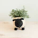Sheep Planter - Coco Coir Pots | LIKHÂ by LIKHÂ