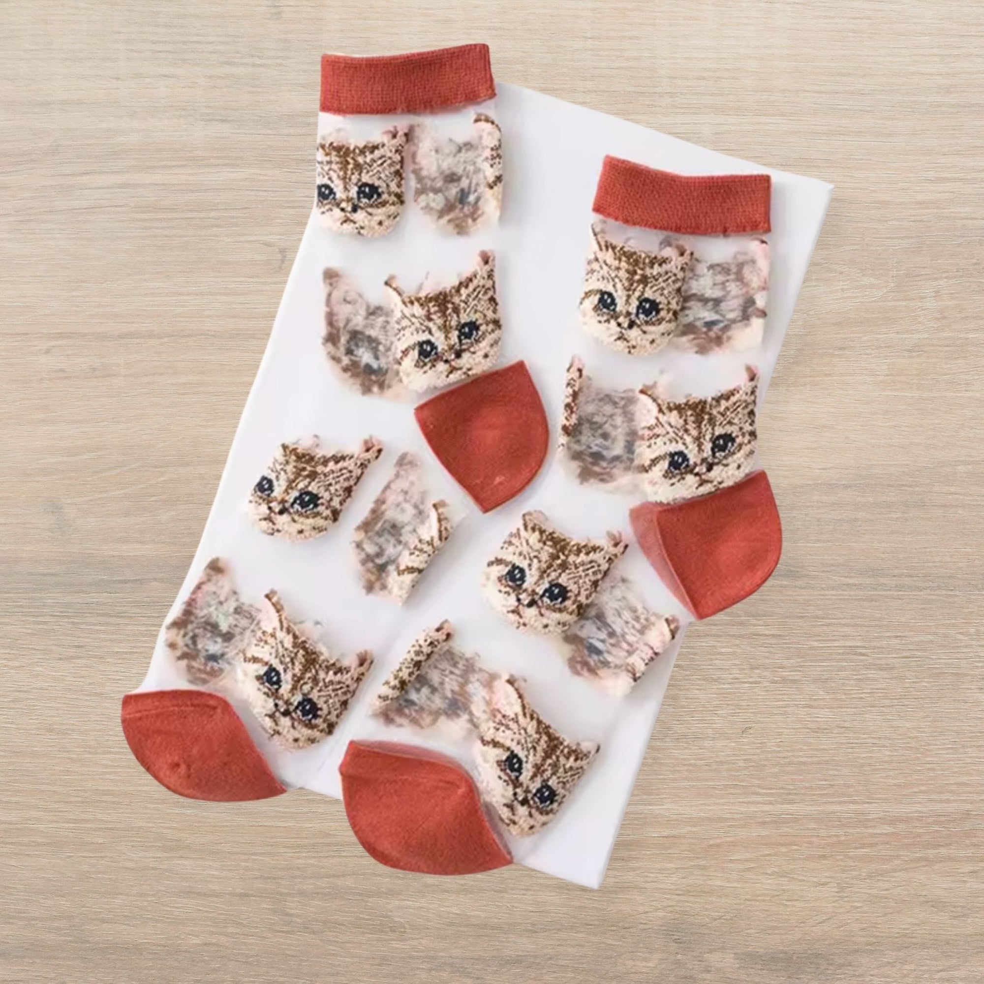 Sheer Cat Lover Socks Available in Yellow Green Red or Black [Fits Women's Size 5 - 9]