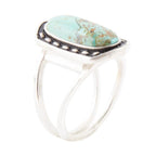 Shielded Blue Turquoise and Sterling Silver Ring by Barse Jewelry