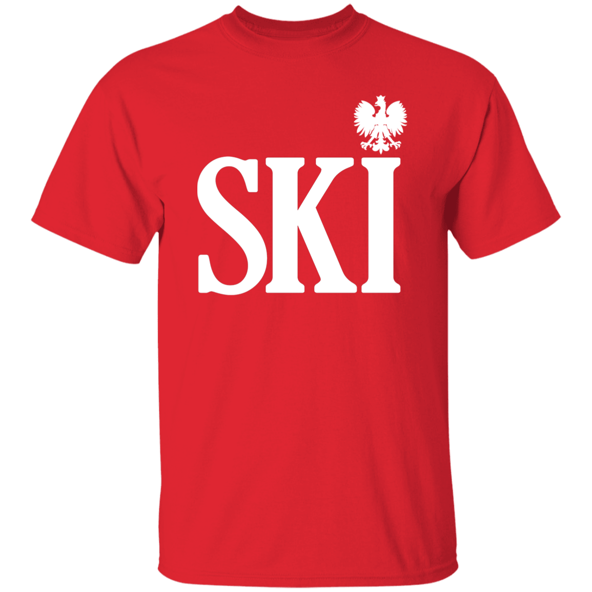 SKI Polish Surname Ending