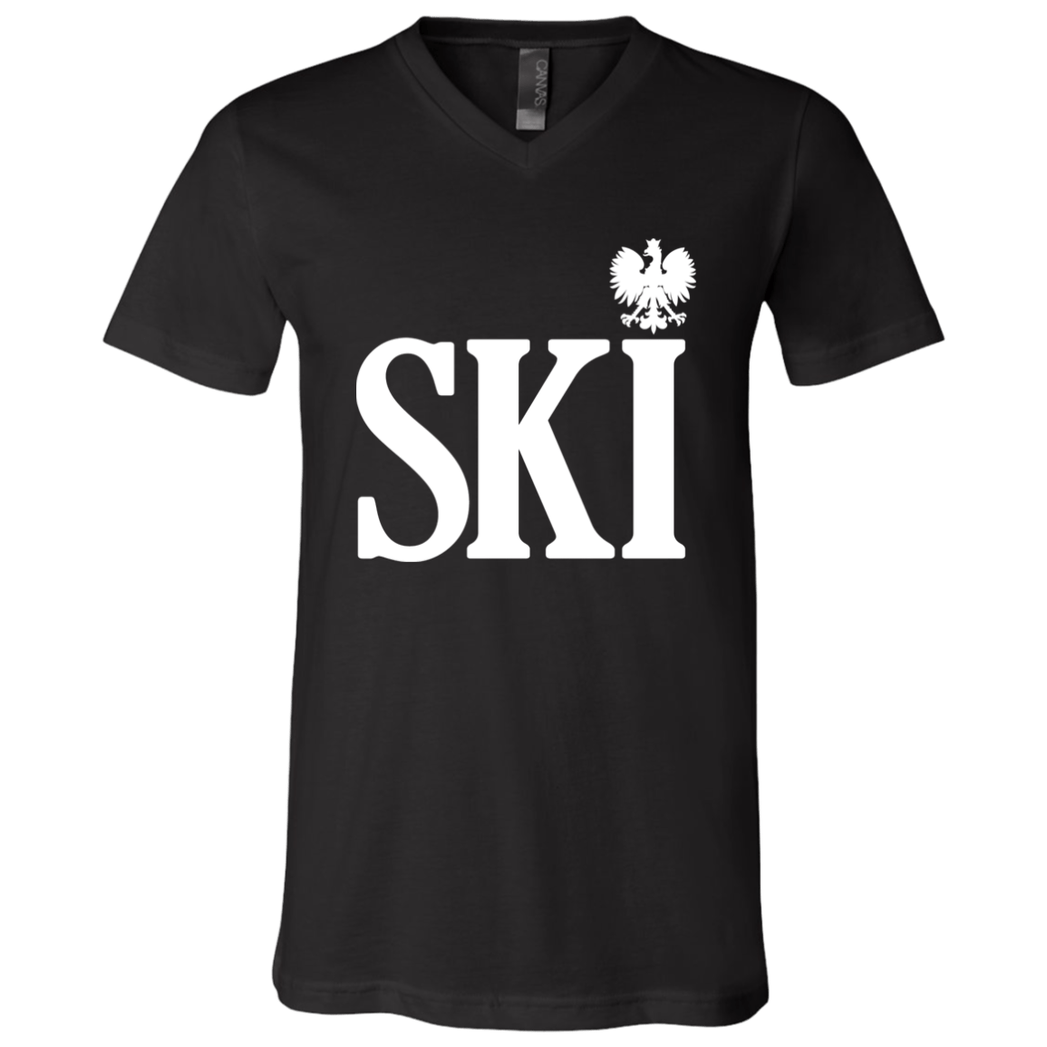 SKI Polish Surname Ending