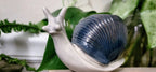 Snail Watering Spike