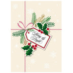 Snowflake Present Boxed Card 10 ct by Anna Griffin Inc.