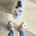 Socks that Save Cats by Conscious Step