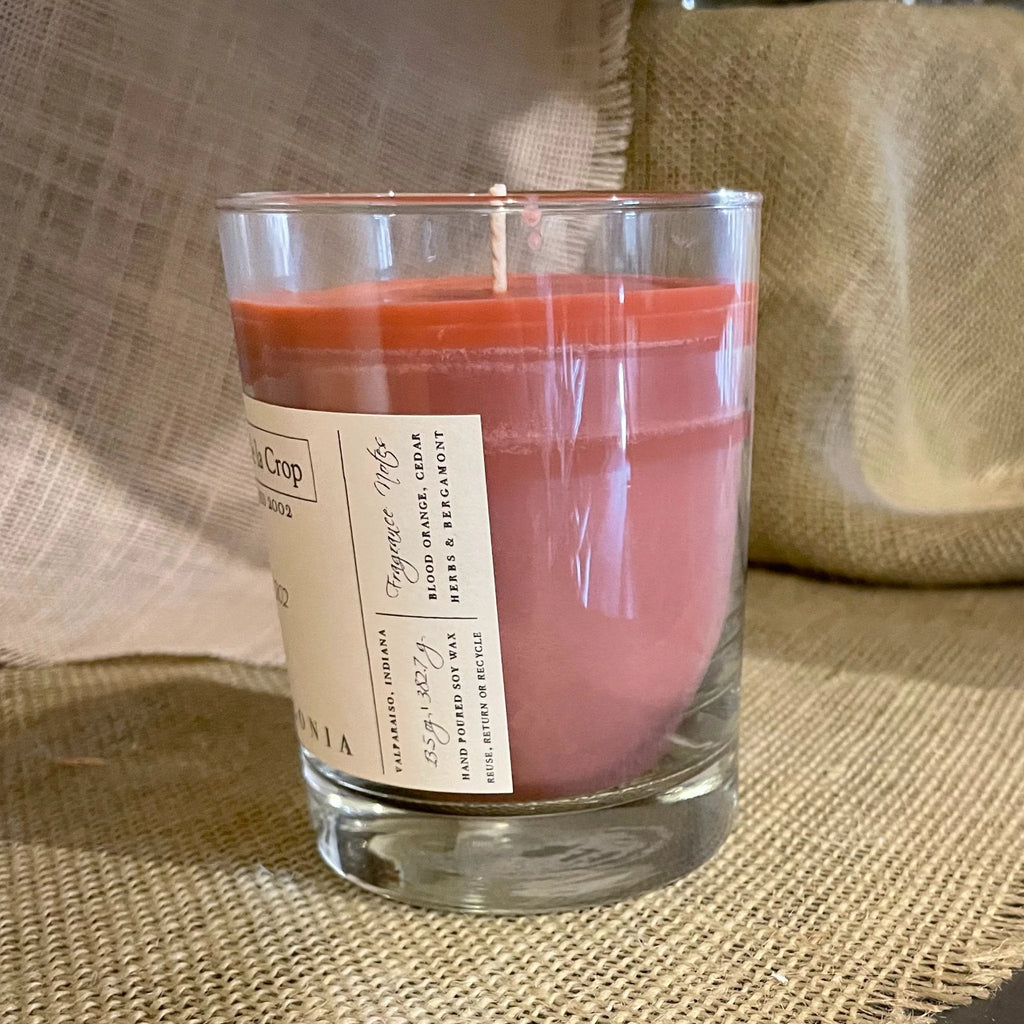 Soy Candle - Palagonia (Blood Orange) by Creme de la Crop