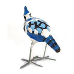 Seedpod Blue Jay