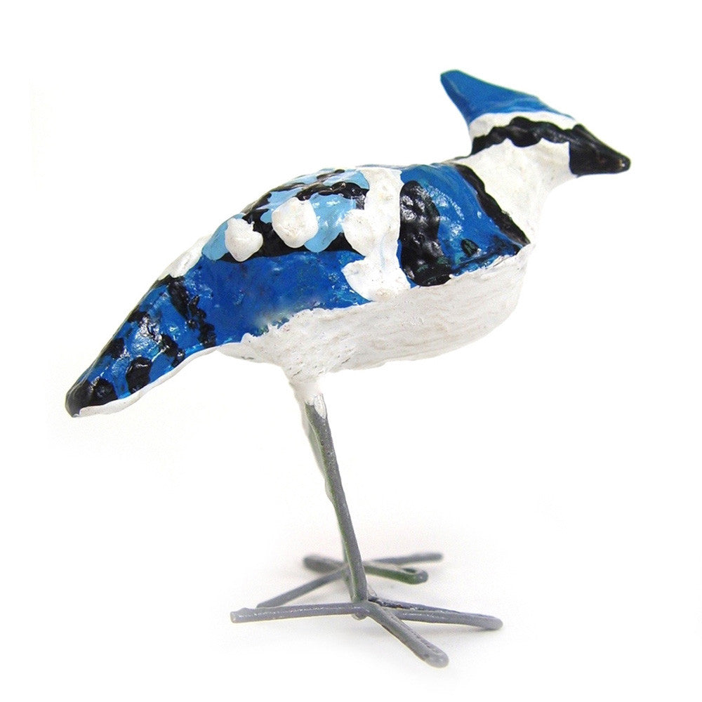 Seedpod Blue Jay