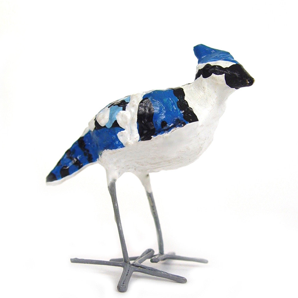 Seedpod Blue Jay