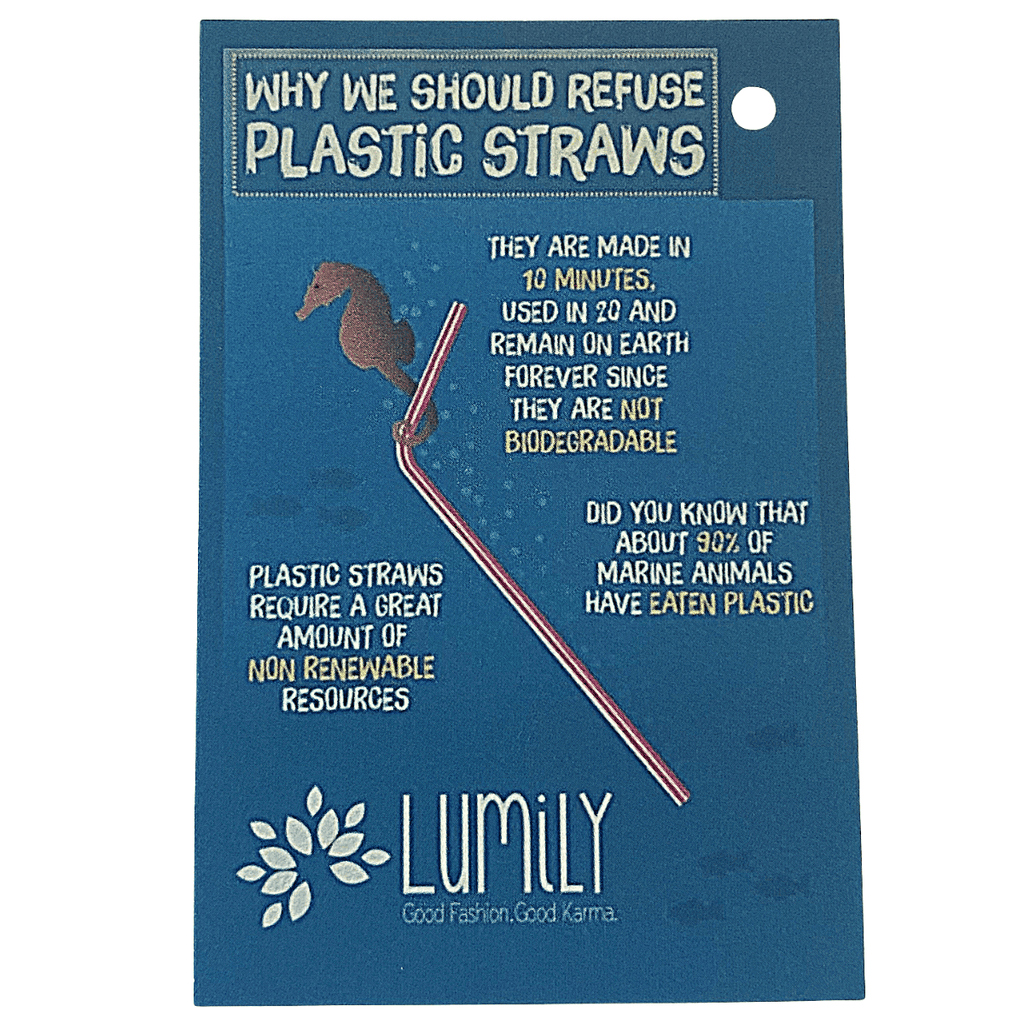 Stainless Steel Reusable Straw Bags La Vie Bien Stainless Steel Reusable Straw