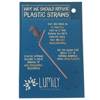 Stainless Steel Reusable Straw Bags La Vie Bien Stainless Steel Reusable Straw