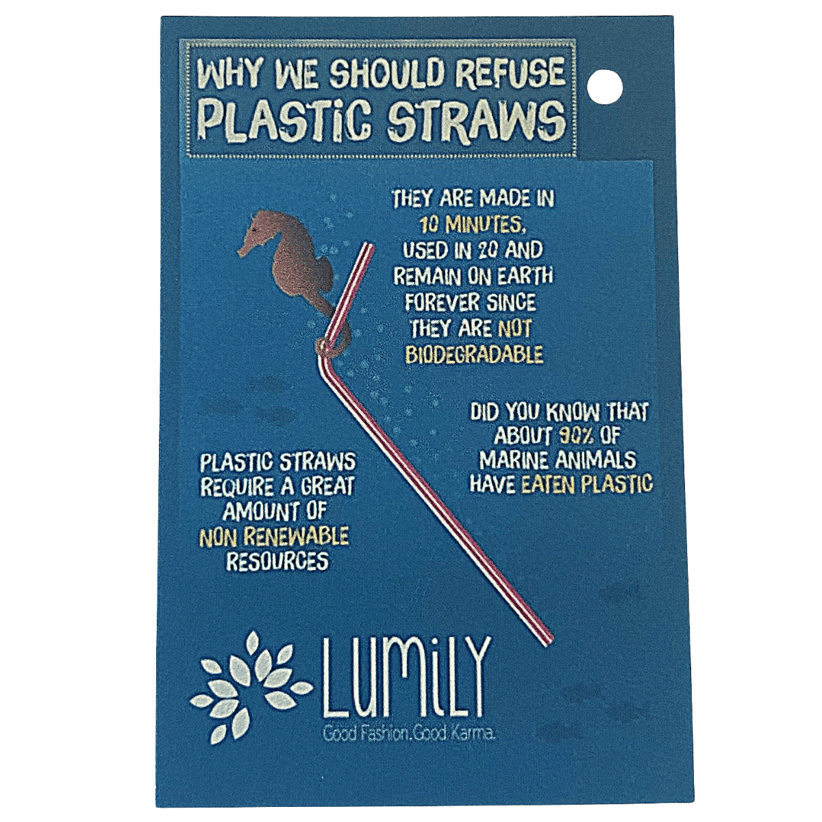 Stainless Steel Reusable Straw Bags La Vie Bien Stainless Steel Reusable Straw