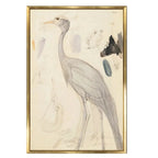 Standing Crane Framed Art