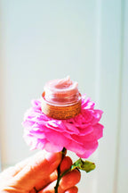 Strawberry Dreamsicle Lip Balm Scrub La Vie Bien Strawberry Dreamsicle Lip Balm Scrub