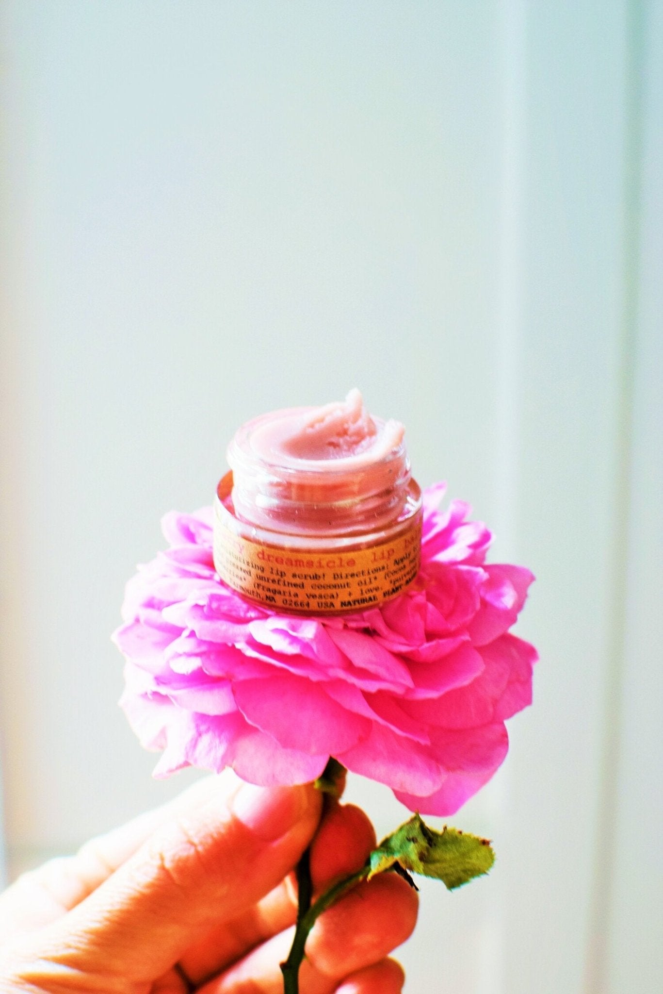 Strawberry Dreamsicle Lip Balm Scrub La Vie Bien Strawberry Dreamsicle Lip Balm Scrub