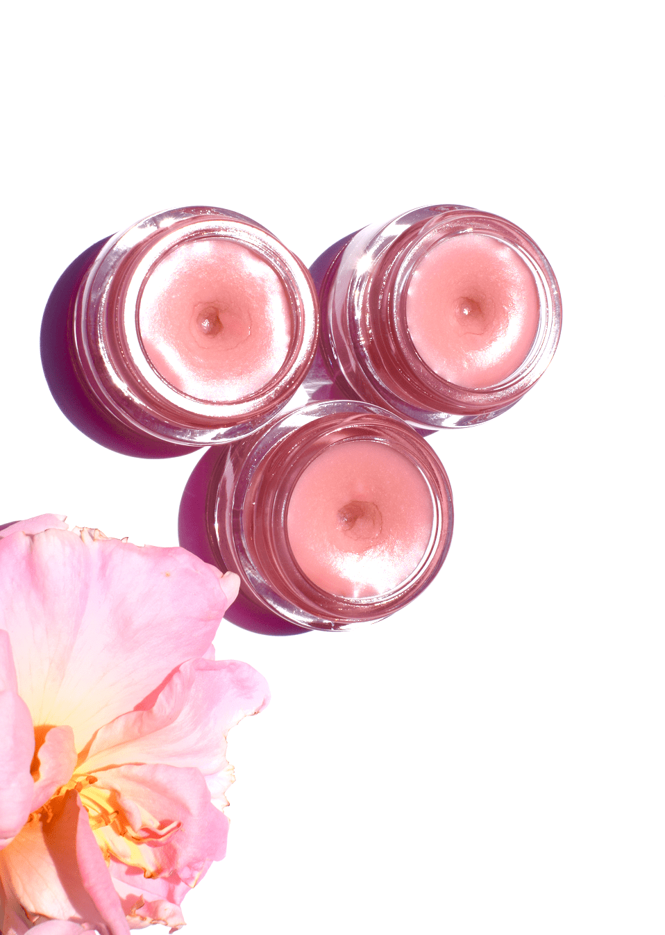 Strawberry Dreamsicle Lip Balm Scrub La Vie Bien Strawberry Dreamsicle Lip Balm Scrub