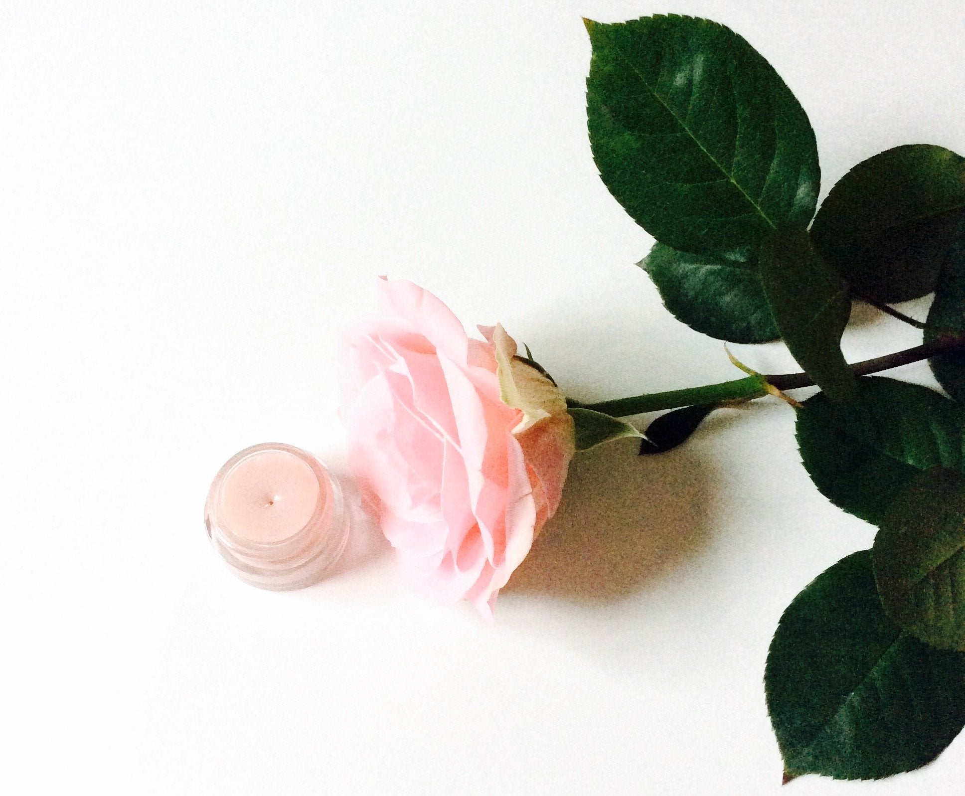 Strawberry Dreamsicle Lip Balm Scrub La Vie Bien Strawberry Dreamsicle Lip Balm Scrub